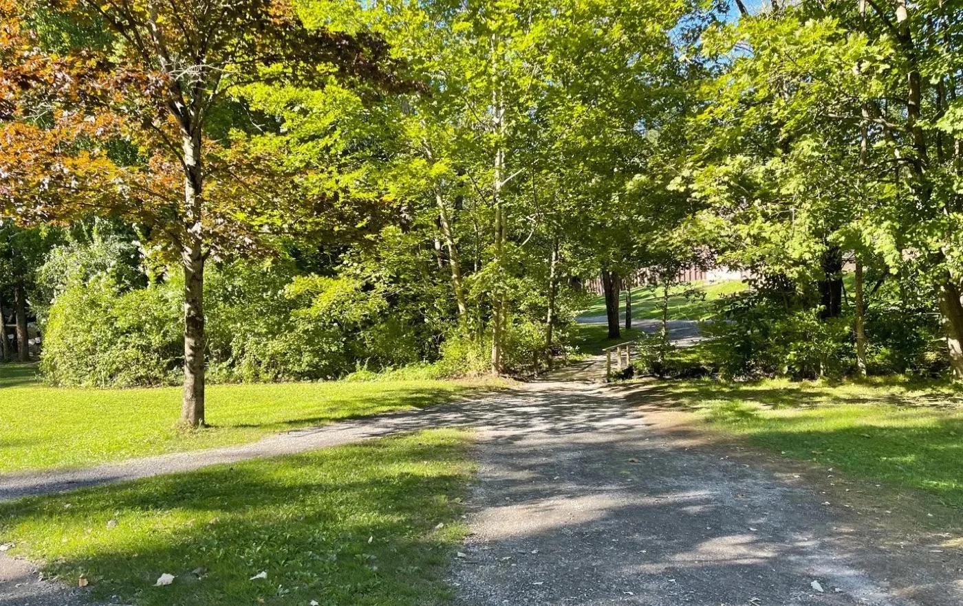A green park landscape in spring